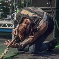 Click to enlarge GutterPunk - Professional Concert Photography